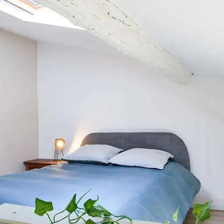 Apartment Le Mezzanine - Terrasse Centre Montpellier